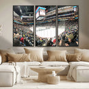 Xcel Energy Center St Paul Minnesota Wild Ice Hockey Stadium