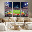 NC State Wolfpack Canvas Print - Raleigh Carter-Finley
