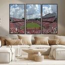NC State Wolfpack Football Team Print Canvas- Raleigh