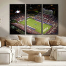 Florida Atlantic University Owls Canvas Print, Football Team by MyGreatCanvas | Canvas Wall Art Prints | Photo Prints & Wall Decor