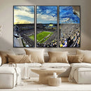 Framed USF Bulls Football Team Print - Tampa Raymond James by MyGreatCanvas | Canvas Wall Art Prints | Photo Prints & Wall Decor