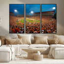Clemson University Tigers Football Team Print - Clemson
