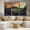 Michigan State Spartans Football Team Print - East Lansing