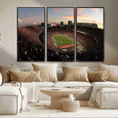 Ohio State University Buckeyes Football Team Print -