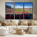 Ball State Cardinals Football Team Print - Muncie Scheumann