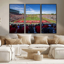 Ball State Cardinals Football Team Print - Muncie Scheumann