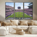 TCU Horned Frogs Football Team Print - Fort Worth Amon G.