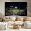 TCU Horned Frogs Football Team Print - Fort Worth Amon G.