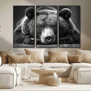 Resting Grizzly 399 Bear Canvas Print | Ready to Hang Wall