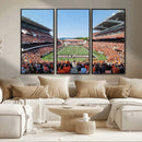 Oregon State Beavers Football Team Print - Corvallis Reser
