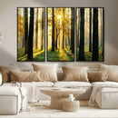 Sunlit Forest Wall Art Canvas Print – Large Framed Woodland