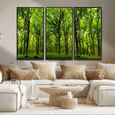Lush Green Forest Canvas Print | 3-Panel Forest Wall Art | by MyGreatCanvas | Canvas Wall Art Prints | Photo Prints & Wall Decor