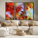Red Leaves Autumn Forest Wall Art Canvas, Red Leaves Autumn by MyGreatCanvas | Canvas Wall Art Prints | Photo Prints & Wall Decor
