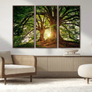 Majestic Ancient Tree Wall Art, NatureCanvas Print, Woodland by MyGreatCanvas | Canvas Wall Art Prints | Photo Prints & Wall Decor