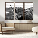 Longhorn Steer Canvas Print Wall Art, Highland Cow Canvas by MyGreatCanvas | Canvas Wall Art Prints | Photo Prints & Wall Decor
