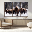 Bison Wall Art Canvas Print- Bison Herd Canvas Wall Art –