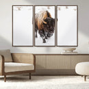 Bison Winter Wall Art Canvas Print For Farmhouse Decor