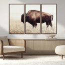 Bison in Field Wall Art Canvas Print For Farmhouse Barn