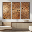 Tree Ring Canvas Art, Rustic Wood Grain Wall Art, Tree Slice