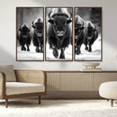 American Bison Art | Buffalo Herd Wall Art Canvas Print, BW