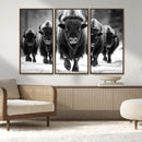 American Bison Art | Buffalo Herd Wall Art Canvas Print, BW