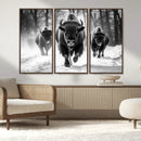 Buffalo Wall Art Canvas Print, Bison Family Wall Art Canvas by MyGreatCanvas | Canvas Wall Art Prints | Photo Prints & Wall Decor