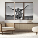 Texas Longhorn Cow Wall Art, Texas Longhorn Canvas, Cattle