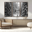 Winter Ski Lift Black and White Canvas Wall Art – Alpine