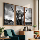 Scottish Cow Wall Art Canvas Print | Longhorn Wall Art |