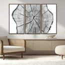 Rustic Tree Ring Wall Art Canvas Print – Framed and Ready to