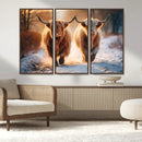 Scottish Highland Cow Horn Farm Wall Art Canvas Print