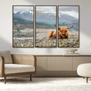 Highland Cow Horn Farm Wall Art Canvas Print