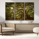 Ancient Angel Oak Tree Art Sunburst Canvas Print-