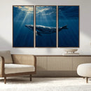 Whale under Ocean Wall Art Canvas Print