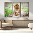 Leopard on the Prowl - Stunning Large Framed Leopard Wall