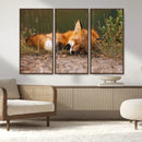 Sleeping Fox Wall Art Canvas Print, Farmhouse Wall Decor and