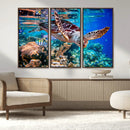 Underwater Coral Reef Sea Turtle Wall Art Canvas Print,