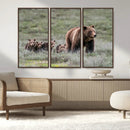 Wildlife Photography of 399 Grizzly Bear Cubs | Queen of the