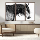 Majestic Horse Wall Art – Framed Black White Portrait Canvas by MyGreatCanvas | Canvas Wall Art Prints | Photo Prints & Wall Decor