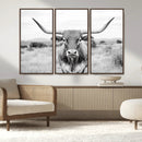 Highland Cow Wall Art Canvas Print – Black and White Western