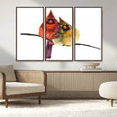 Cardinal Bird Canvas Wall Art - Male and Female Cardinal