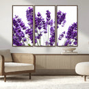 Lavender Flower Wall Art Canvas Print by MyGreatCanvas | Canvas Wall Art Prints | Photo Prints & Wall Decor