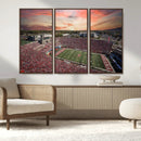 Indiana Memorial Stadium Wall Art Canvas Print, Framed