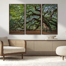 Historic Tree Wall Art – Framed Mossy Branch Canvas Artwork, by MyGreatCanvas | Canvas Wall Art Prints | Photo Prints & Wall Decor