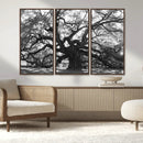 Ancient Oak Wall Art Canvas Print – Gnarled Tree Twisted by MyGreatCanvas | Canvas Wall Art Prints | Photo Prints & Wall Decor