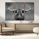 Texas Longhorn Wall Art Canvas Print – Framed Western Bull