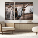 Texas Longhorn Wall Art Canvas Print – Framed Spotted Bull