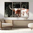 Texas Longhorn Wall Art Canvas Print – Framed Spotted Bull