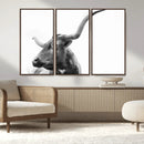 Longhorn Wall Art Canvas Print – Framed Monochrome Ranch Cow