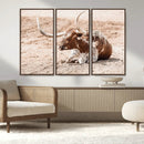 Texas Longhorn Wall Art – Framed Resting Bull Canvas by MyGreatCanvas | Canvas Wall Art Prints | Photo Prints & Wall Decor